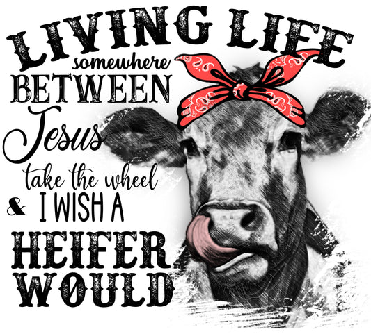 I Wish A Heifer Would